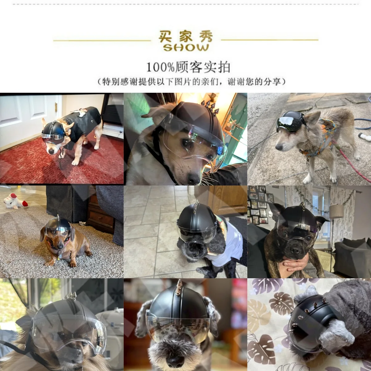 2-in-1 Dog Motorcycle Helmet & - Motorcycle Gear For Dogs 评论和价格