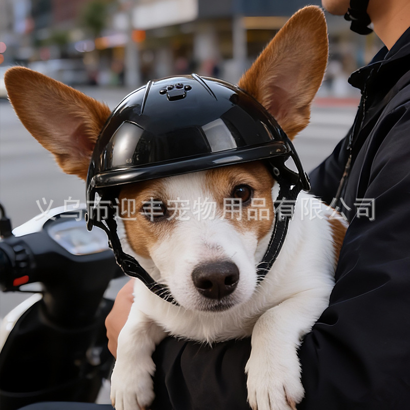 Pink Motorcycle Pet Helmet wit - Motorcycle Gear For Dogs 评论和价格
