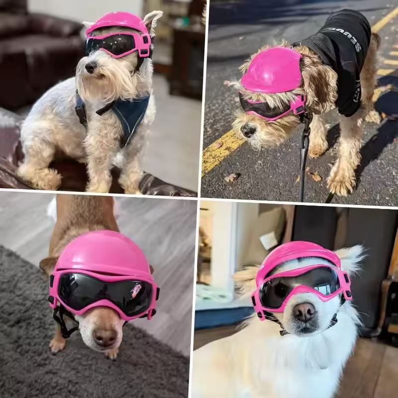 Dog Motorcycle Helmet Goggles  - Motorcycle Gear For Dogs 评论和价格