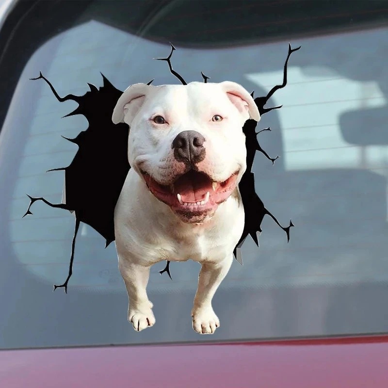 1Pc  French Bulldog Dog Sticke - Motorcycle Gear For Dogs 评论和价格