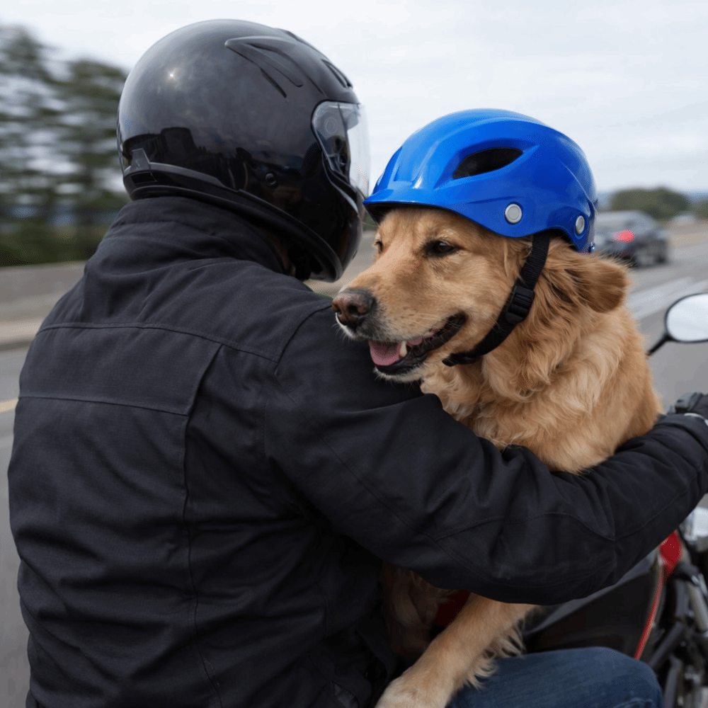 Pet Headgear Adjustable Dog He - Motorcycle Gear For Dogs 评论和价格